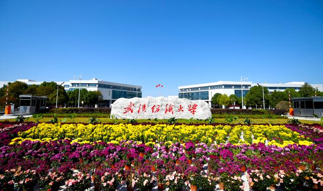 武汉纺织大学人才招聘网